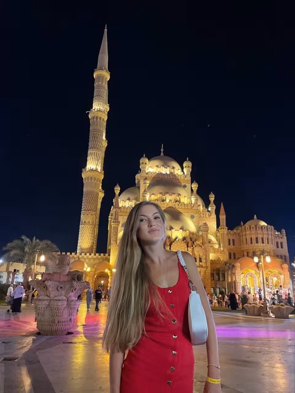 Dina ukrainian dating app